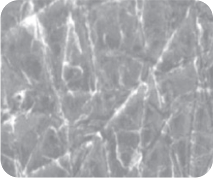 sanex-dermatologos-el-cuidado-de-la-dermatitis-atopica-eficiencia-del-gel-resultados-grafico-week